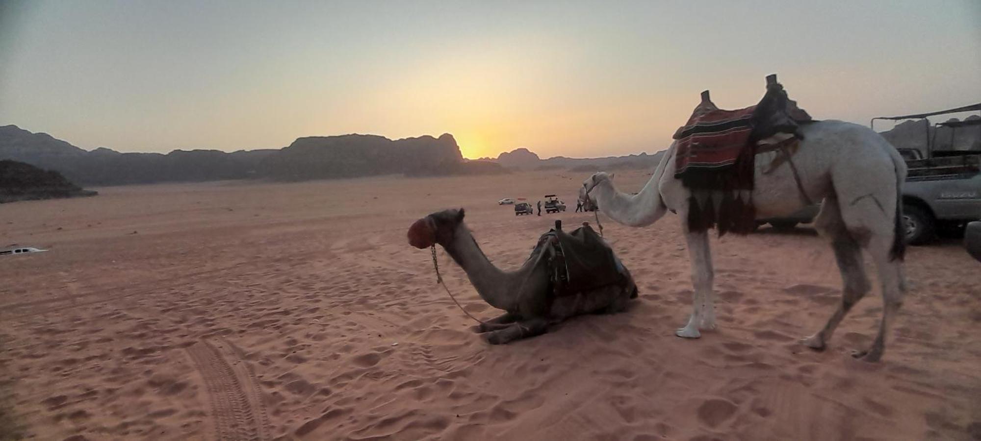 Desert Star Camp Wadi Rum Eksteriør bilde
